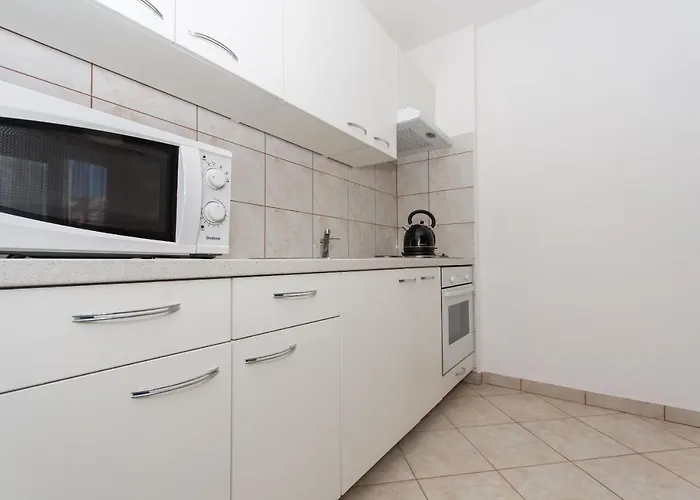 Slava * 트로기르